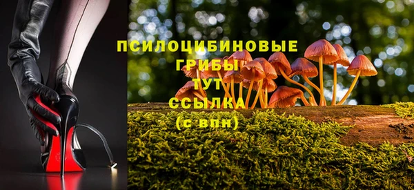 Альфа ПВП Балахна
