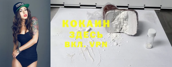 стаф Баксан