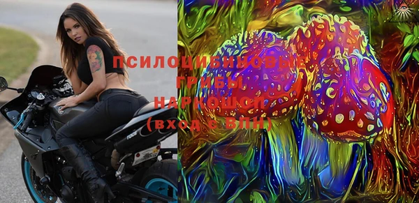 стаф Баксан