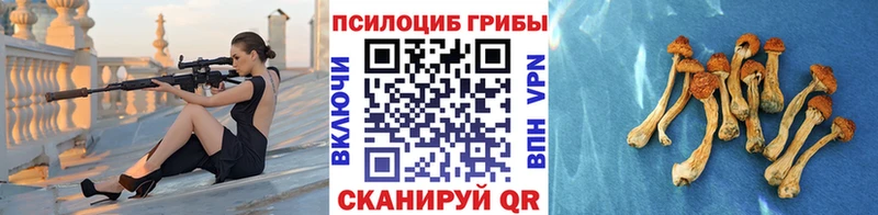 Галлюциногенные грибы Cubensis  сколько стоит  Воскресенск 
